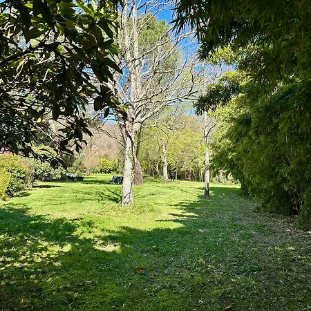 Batisse Le Moulinage Du Luol Avec Parc Arbore